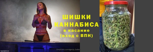 амф Каменка